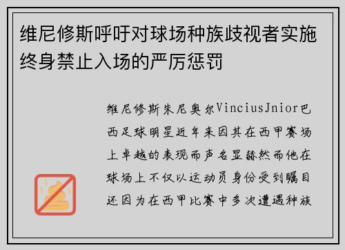 维尼修斯呼吁对球场种族歧视者实施终身禁止入场的严厉惩罚 维尼修斯呼吁对球场种族歧视者实施终身禁止入场的严厉惩罚